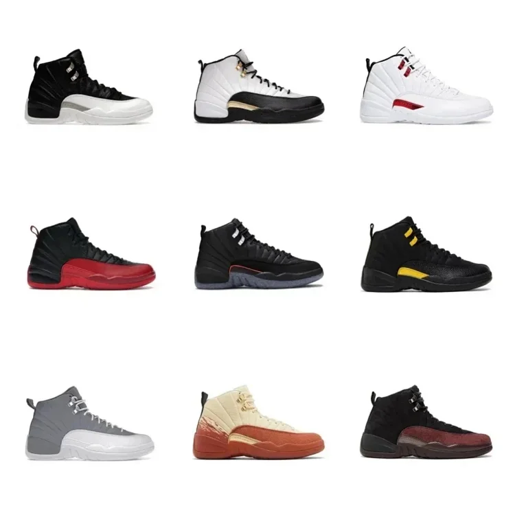 Air Jordan 12  7422524334