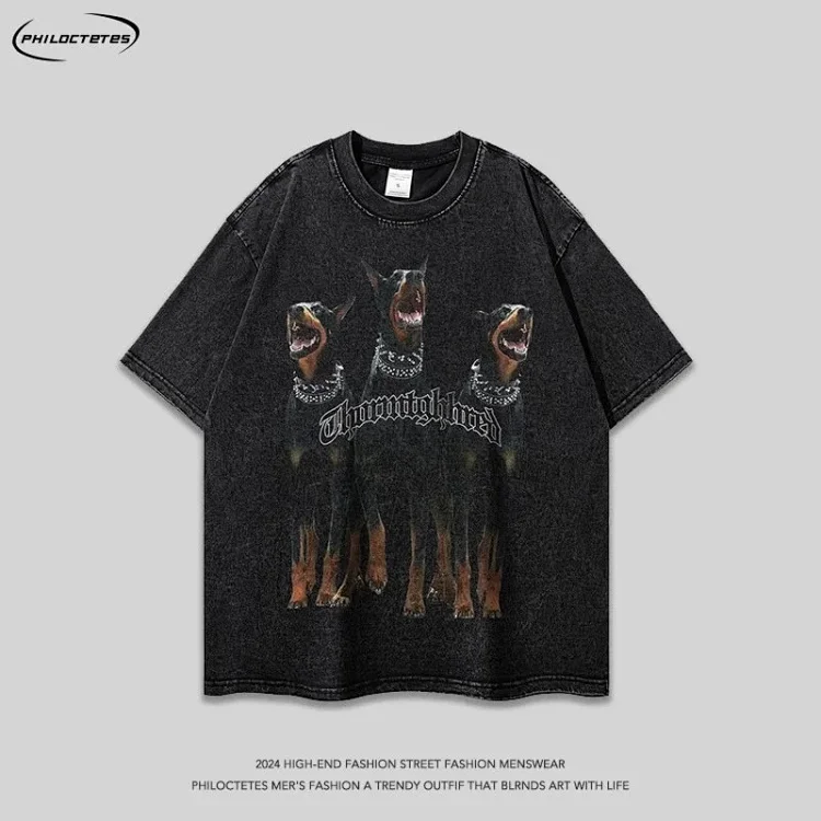 Doberman Pinscher Dog